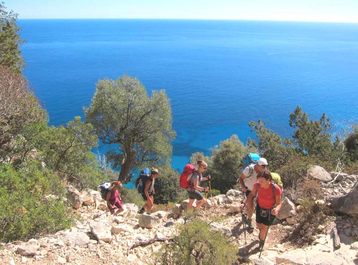 Basecamp Ogliastra - Flat Green Santa Maria Navarrese Luaran gambar